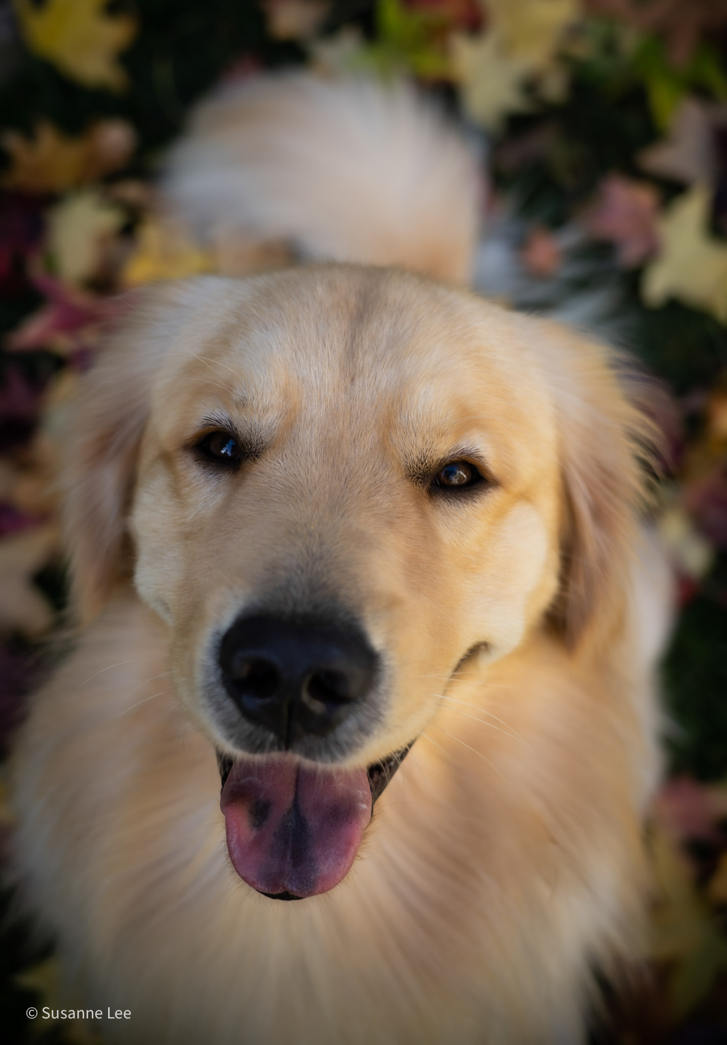 Test